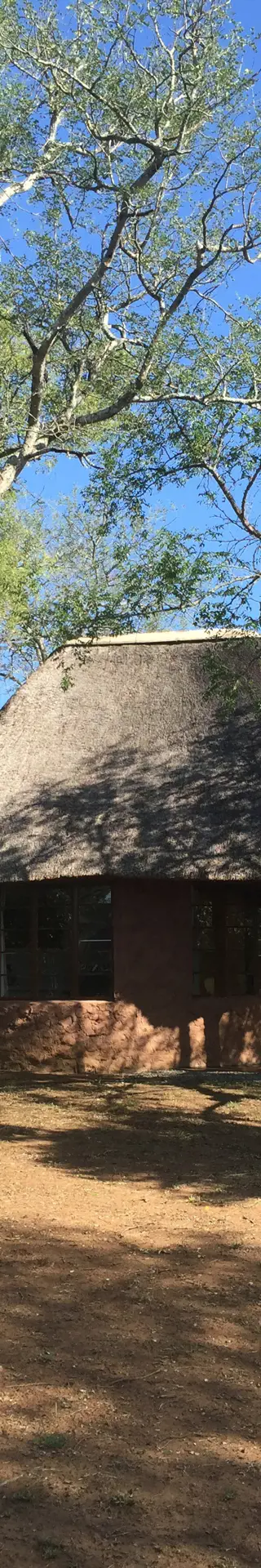 Übernachten im Nationalpark bei Kerzenschein und Tiergeräuschen